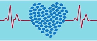 NEWS FLASH Viagra is good for your HEART and your BRAIN&nbsp;?