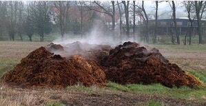 What is your steaming pile of&nbsp;shit?