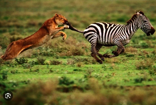 Part Three of our Survival&nbsp;Programming