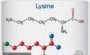 Lysine Essential for Health and Beauty