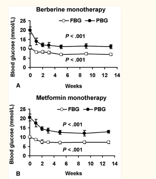 Berberine Nature’s Ozempic and so much&nbsp;more