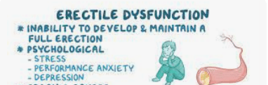 Women and Men, Do you have ED? victimizED, impoverishED, isolatED, vaccinatED, inflammED,&nbsp;bankruptED?