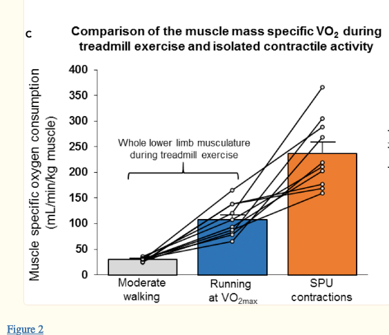 Calf raise better than walking You must be&nbsp;kidding