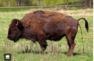 Dont give Bullshit&nbsp;complements